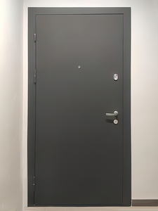 Дверь с порошковым напылением и МДФ, фото спереди